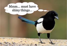magpie