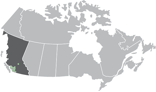 Innergy Corporate Yoga - Locations: Lower Mainland, Vancouver, Kamloops, Richmond, Surrey, New Westminster, Burnaby, North Vancouver, West Vancouver, Abbotsford