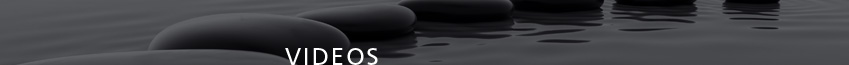 Innergy Corporate Yoga: About Us - Our Team: Corporate, Conference and Private Yoga Sessions